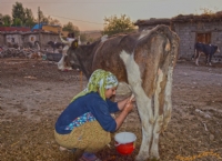 Berivan - Fotoraf: Orhan Kartal fotoraflar fotoraf galerisi. 