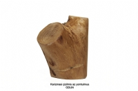 Odun’ Un Üçüncü Hali - Fotoğraf: Salim Gökcay fotoğrafları fotoğraf galerisi. 