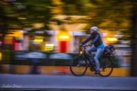 Viyana’da Bisikletli Bayan