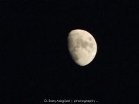 The Moon - Fotoraf: Dilara Adgzel fotoraflar fotoraf galerisi. 