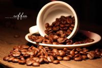 Coffee - Fotoraf: Fatih Akgngr fotoraflar fotoraf galerisi. 