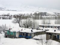 Kar Atanlar - Fotoraf: Akn Gedik fotoraflar fotoraf galerisi. 