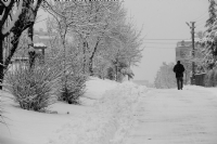 Kar Günleri - Fotoğraf: Mustafa Tekaslan fotoğrafları fotoğraf galerisi. 