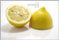 Limon Still Life