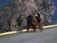 Yol Hikayesi - Fotoraf: Hakk Ukun fotoraflar fotoraf galerisi. 