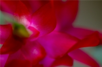 Sab�rla Yo�rulmu� G�zelliklere.....