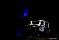 Miniciks Hayatlar ” Land Rover ” - Fotoraf: Mustafa Balta fotoraflar fotoraf galerisi. 