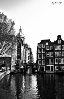 Amsterdam - Fotoraf: Burhan Barn fotoraflar fotoraf galerisi. 