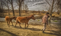 Uzun nce Yol - Fotoraf: Ruslan Mamedov fotoraflar fotoraf galerisi. 