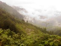 Yayla Yolu - Fotoraf: Blent Sayarolu fotoraflar fotoraf galerisi. 