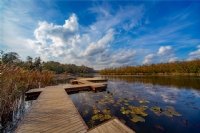 Bereketli Topraklarn stnde ....