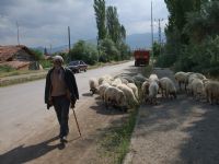 ... - Fotoraf: Muhterem Acar fotoraflar fotoraf galerisi. 