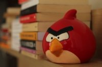 Angry Birds - Fotoraf: Ramazan Ekinci fotoraflar fotoraf galerisi. 