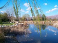 Botanik Park - Fotoraf: Erturul Danolu fotoraflar fotoraf galerisi. 