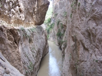 Kanyon