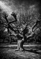 Sessiz Bekleyi�....