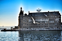 Haydarpaa Kadar Asil. - Fotoraf: Fatih demi fotoraflar fotoraf galerisi. 