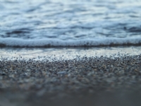 Kum Taneleri Ve Deniz