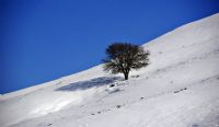 Tek Bana - Fotoraf: brahim Aksu fotoraflar fotoraf galerisi. 