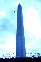 Washington Monument - Fotoraf: Yasemin Plt fotoraflar fotoraf galerisi. 