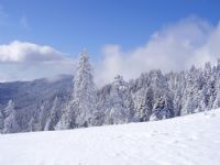 Yayla - Fotoraf: Demirali Trkylmaz fotoraflar fotoraf galerisi. 