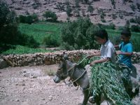 Haydi Kaalm Burdan.... - Fotoraf: Sraceddin Bozdemir fotoraflar fotoraf galerisi. 