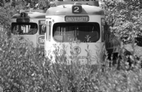 Yeiller Arasnda Tramvay