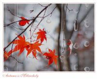 Autumn s Melancholy - Fotoraf: Ahmet Aydn fotoraflar fotoraf galerisi. 