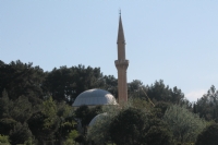 Hayat