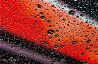 Rain Drops - Fotoraf: Hat Akademi fotoraflar fotoraf galerisi. 