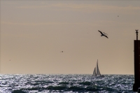 F�rt�na ��inden G�ne�e Do�ru.....