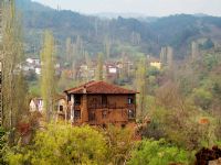 Tarihi Evler - Fotoraf: Ahmet Altunbay fotoraflar fotoraf galerisi. 