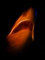 Dark Shark - Fotoraf: Atlm Glen fotoraflar fotoraf galerisi. 