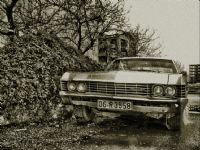 1967 Chevrolet mpala - Fotoraf: Nazl Kse fotoraflar fotoraf galerisi. 