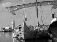 Vikingler - Fotoraf: Hakan Ertem fotoraflar fotoraf galerisi. 