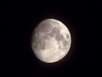 Moon - Fotoraf: Nurettin Avgn fotoraflar fotoraf galerisi. 