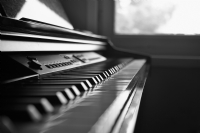 Piyano - Fotoraf: Deniz Guler fotoraflar fotoraf galerisi. 