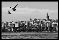 İstanbul... - Fotoğraf: Caner Cömertel fotoğrafları fotoğraf galerisi. 