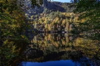 Dnmzden Gnmze Yansyacak