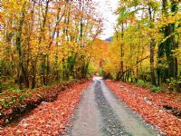 Kymn Yolu - Fotoraf: Bar ahin fotoraflar fotoraf galerisi. 