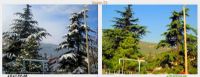 Yazn Baka Kn Bakadr Benim Memleketim - Fotoraf: Ramazan Beyoglu fotoraflar fotoraf galerisi. 