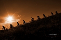 Bisiklet Ak.. - Fotoraf: Bayram Ayhan fotoraflar fotoraf galerisi. 