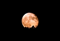 Ay Doğarken (2) - Fotoğraf: Mustafa Tekaslan fotoğrafları fotoğraf galerisi. 