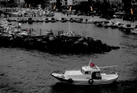 Balk Teknesi (krmz-beyaz-siyah) - Fotoraf: Murat Kemal Akgl fotoraflar fotoraf galerisi. 