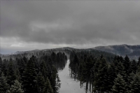 Temiz Beyaz Bir Yol .... 🤍