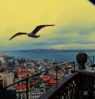 Galata Kulesi’nden Bir Kare.  :) - Fotoraf: Cemre Baker fotoraflar fotoraf galerisi. 