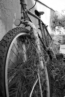 Bisiklet - Fotoraf: smet Gkta fotoraflar fotoraf galerisi. 