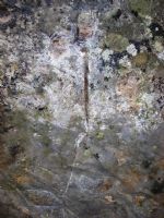 Eskilerin Yetenekleri