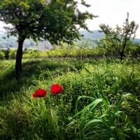 Farkedilebilmek...