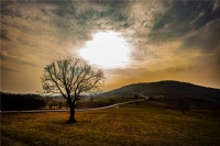 �nce Beyaz Bir Yolda...